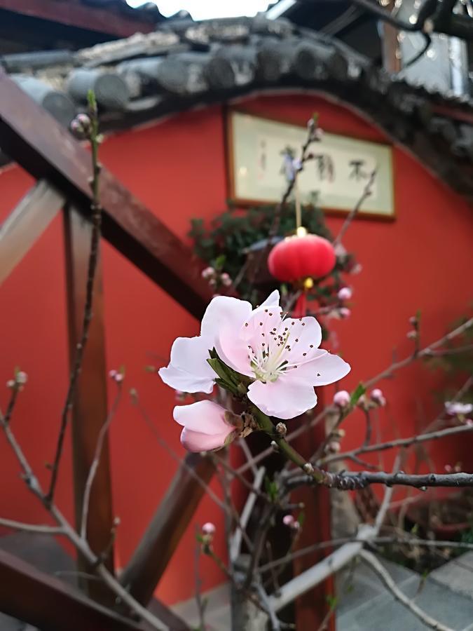 Lijiang Buwuzhai Inn Exteriér fotografie